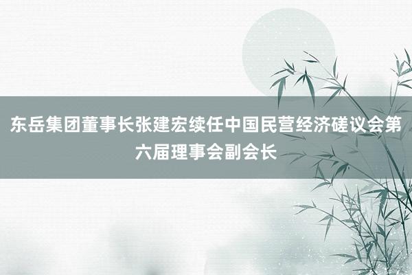 东岳集团董事长张建宏续任中国民营经济磋议会第六届理事会副会长